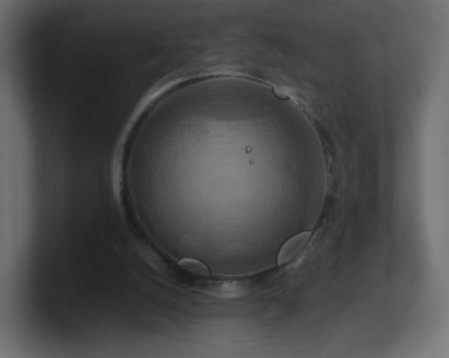 X0000101100056200806261521