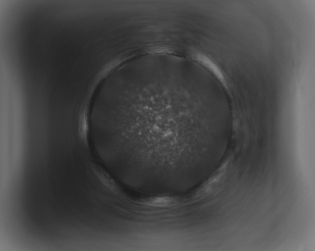 X0000101100059200806261521