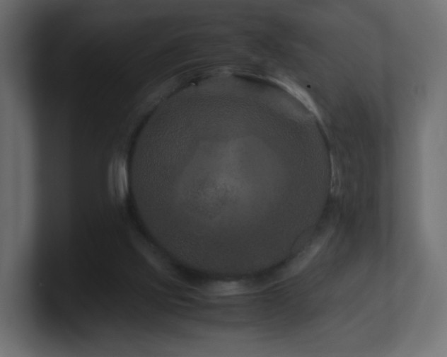 X0000101100061200806261521