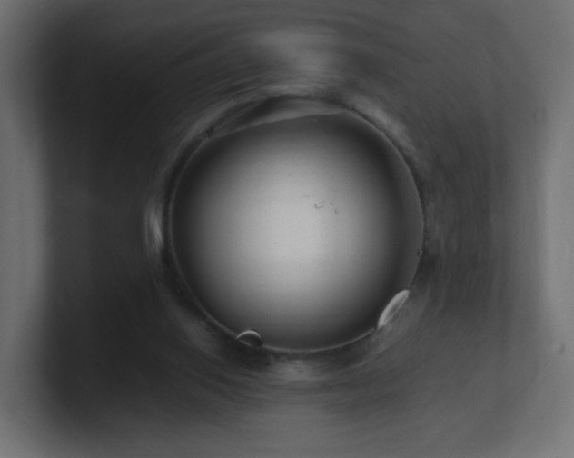 X0000101100062200806261521
