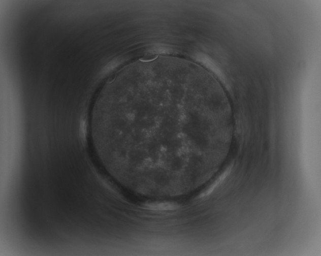 X0000101100063200806261521