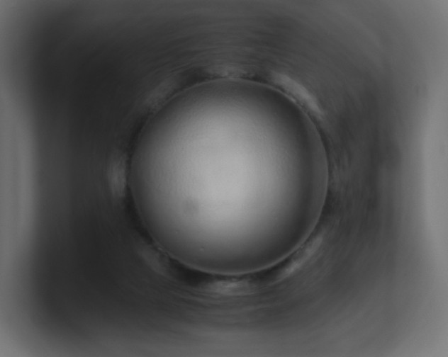 X0000101100065200806261521