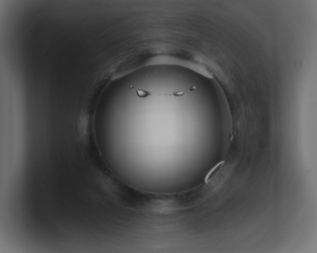 X0000101100066200806261521