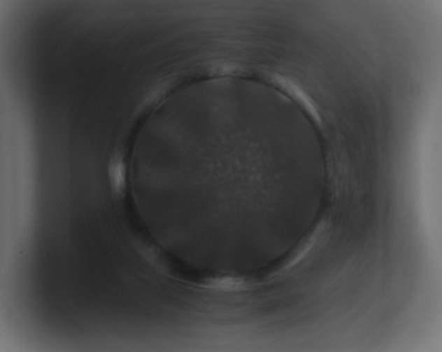 X0000101100067200806261521