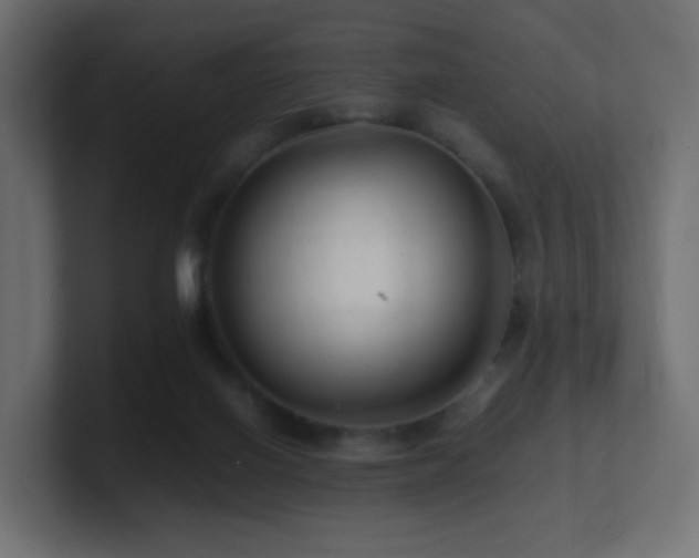 X0000101100070200806261521