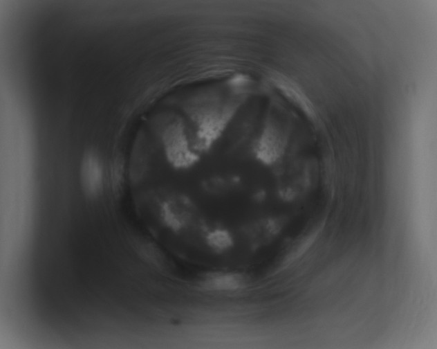 X0000101100073200806261521