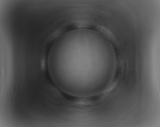 X0000101100074200806261521