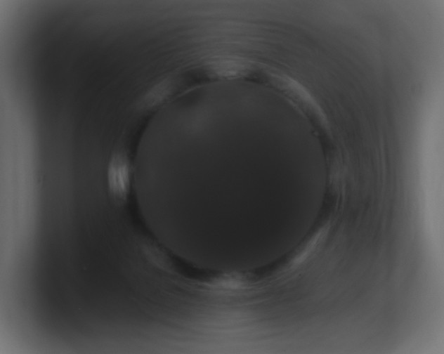 X0000101100076200806261521