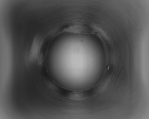 X0000101100077200806261521