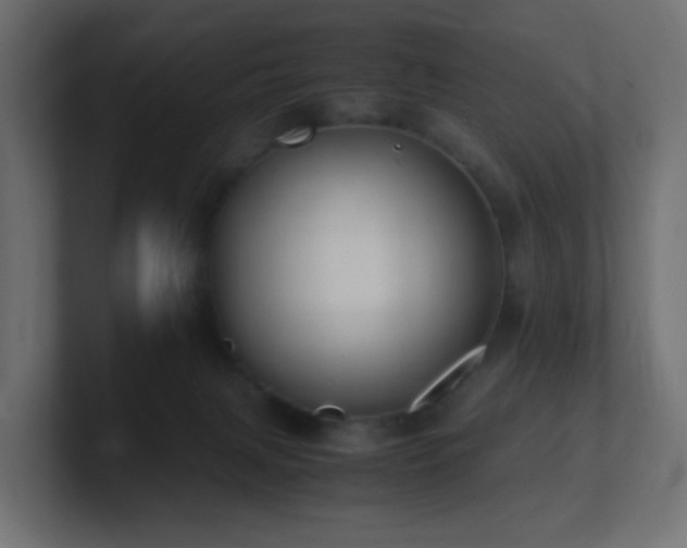 X0000101100079200806261521