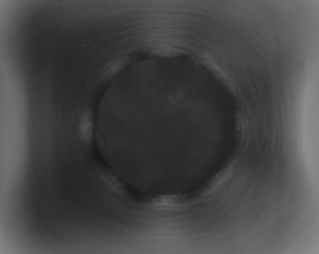 X0000101100080200806261521