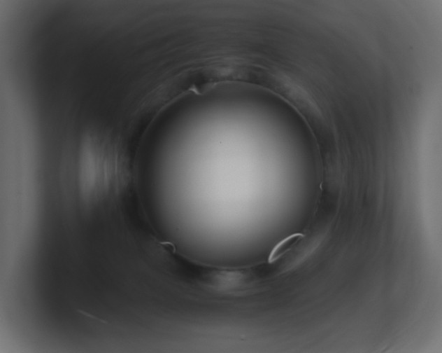 X0000101100085200806261521
