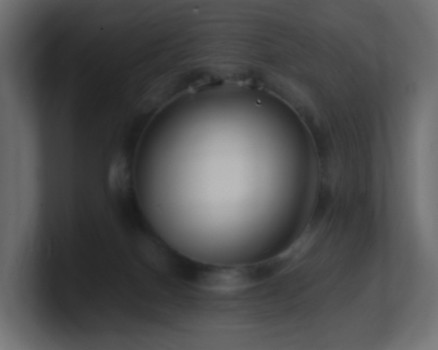 X0000101100086200806261521