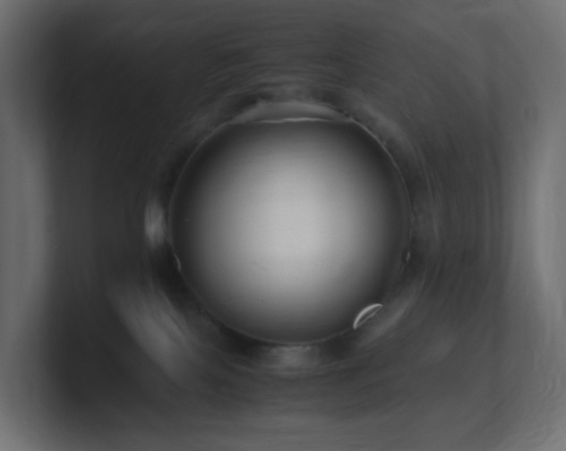 X0000101100089200806261521