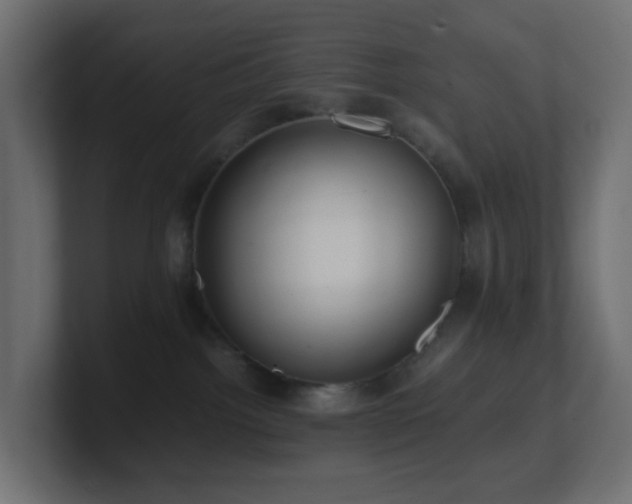 X0000101100092200806261521
