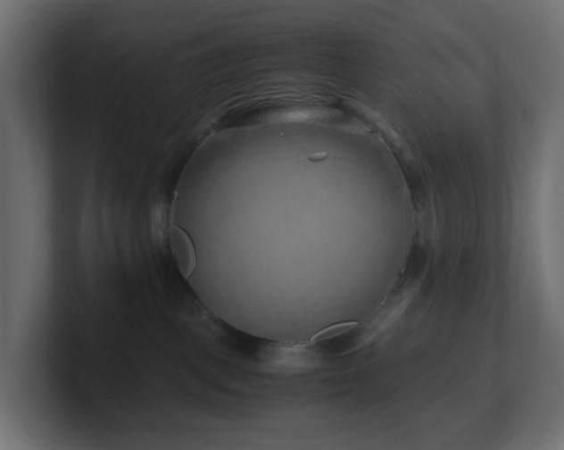 X0000101100093200806261522
