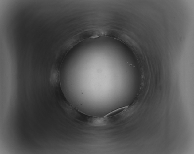 X0000101100096200806261522