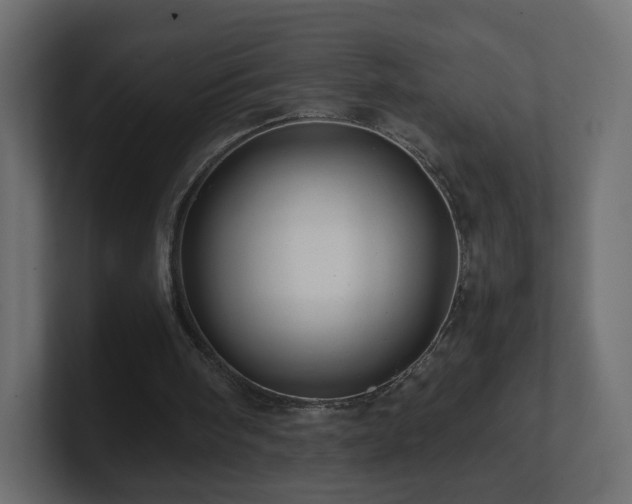 X0000101100098200806261521
