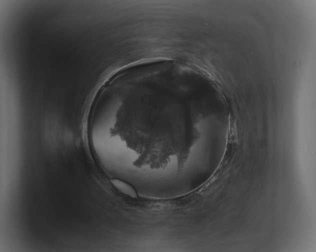 X0000101100099200806261521