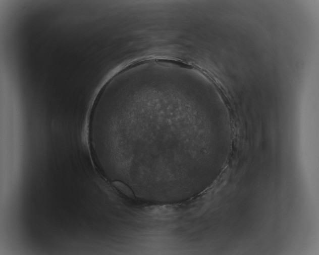X0000101100100200806261521