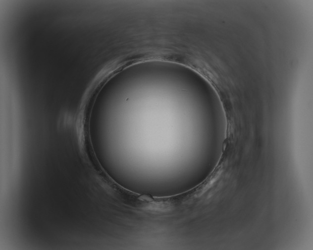X0000101100101200806261521