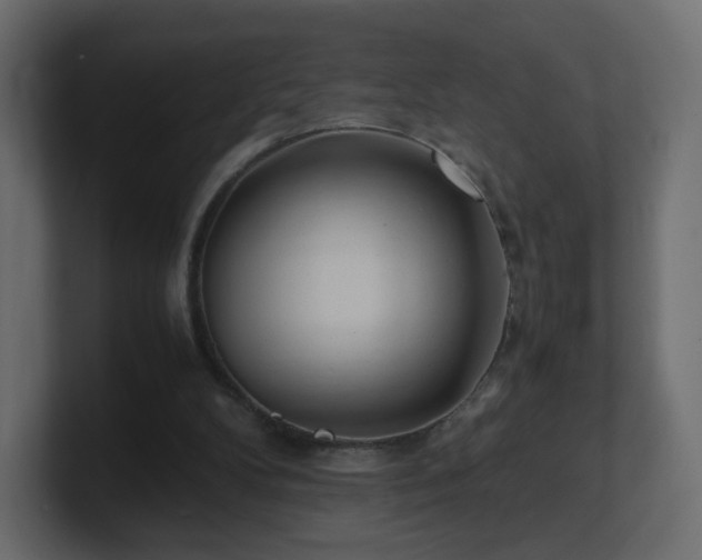 X0000101100104200806261521