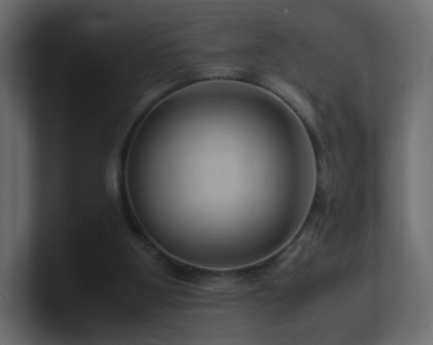 X0000101100107200806261521