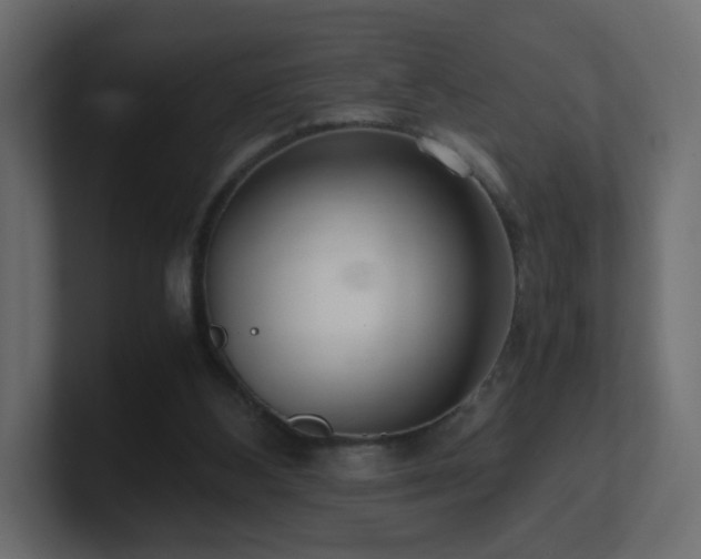 X0000101100108200806261521