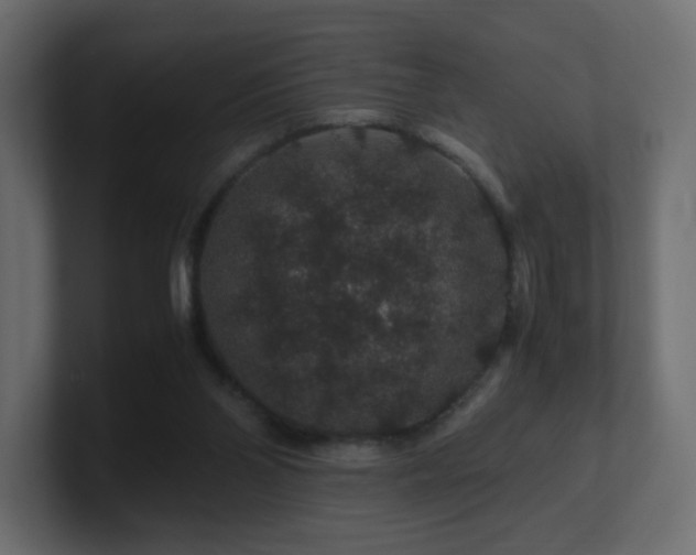 X0000101100110200806261521