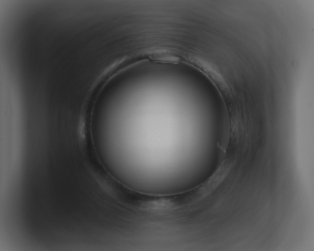 X0000101100112200806261521
