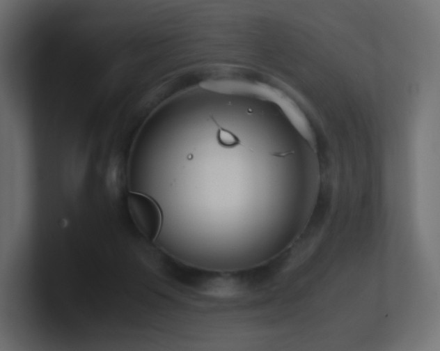 X0000101100119200806261521
