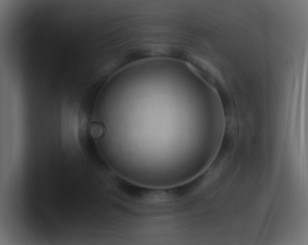 X0000101100123200806261521