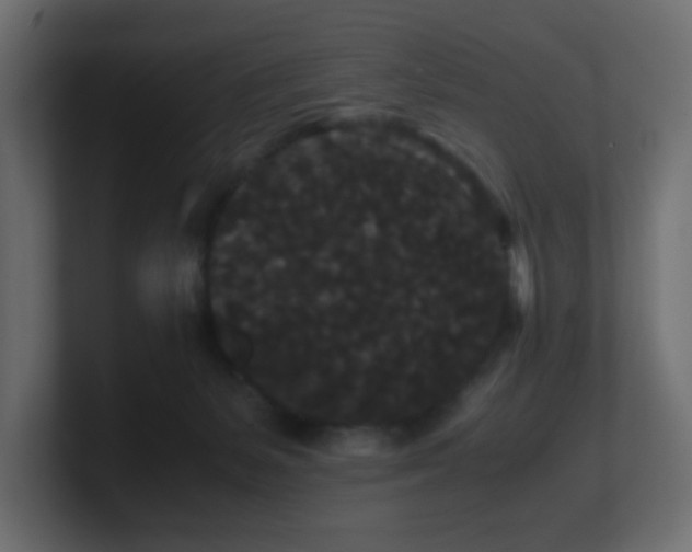X0000101100127200806261520