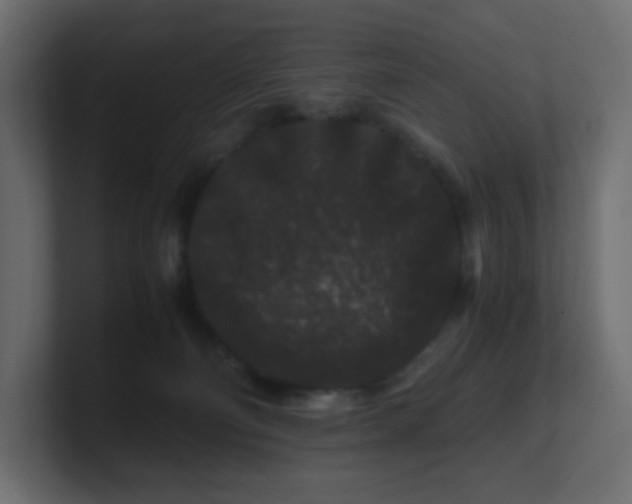 X0000101100130200806261520
