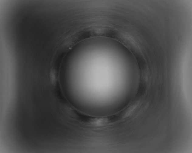 X0000101100135200806261520