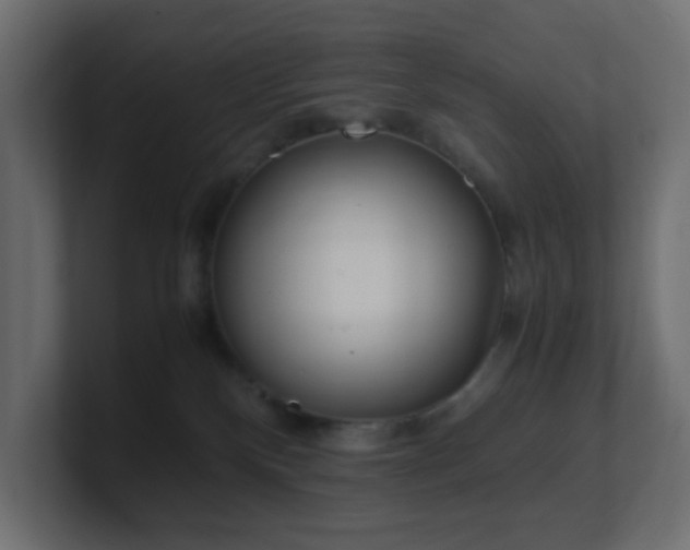 X0000101100136200806261520