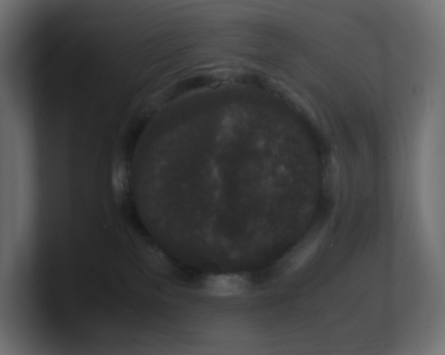 X0000101100137200806261520