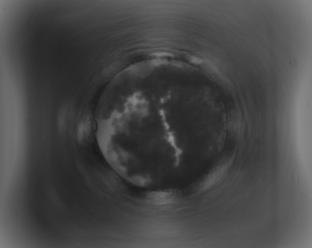 X0000101100139200806261520