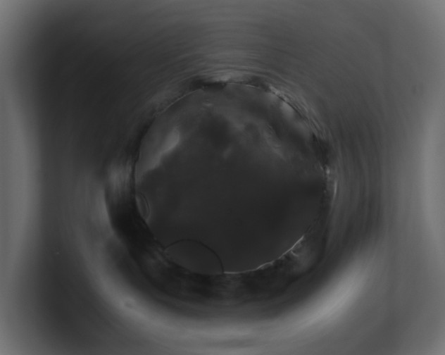 X0000101100143200806261520