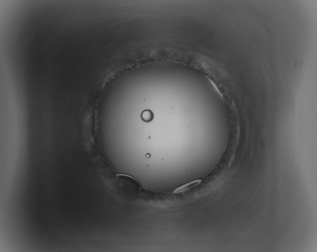 X0000101100144200806261520