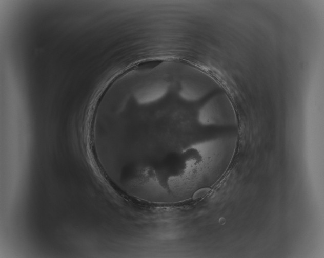 X0000101100145200806261520
