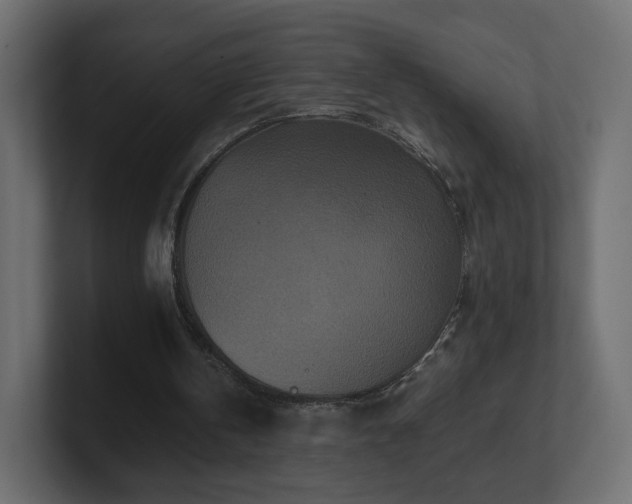 X0000101100146200806261520