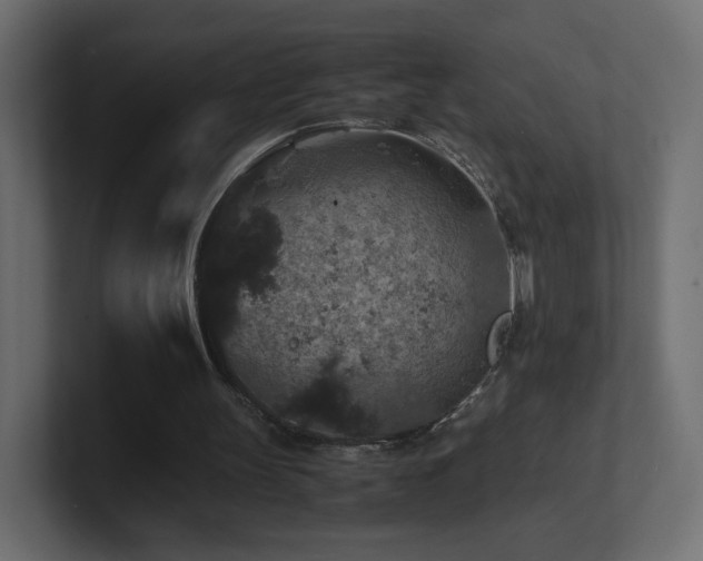 X0000101100147200806261520