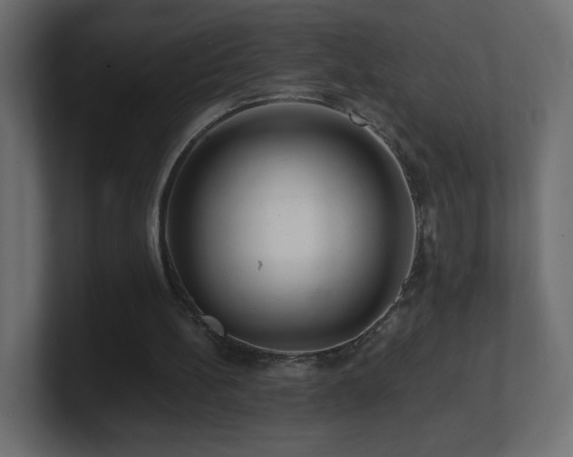 X0000101100148200806261520