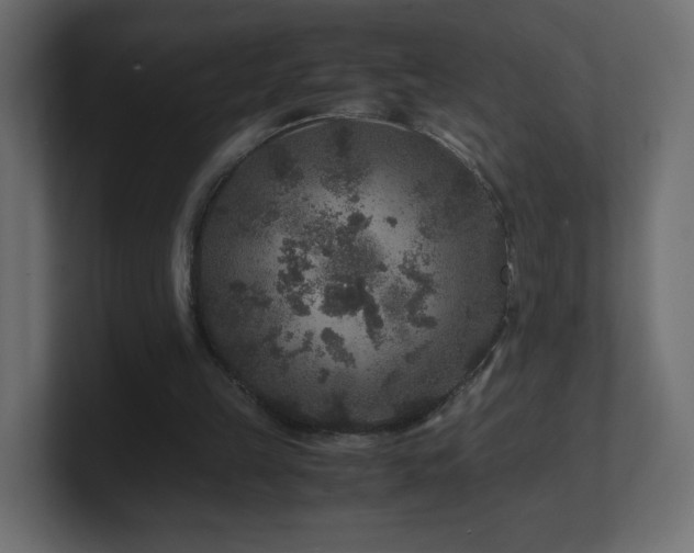 X0000101100149200806261520