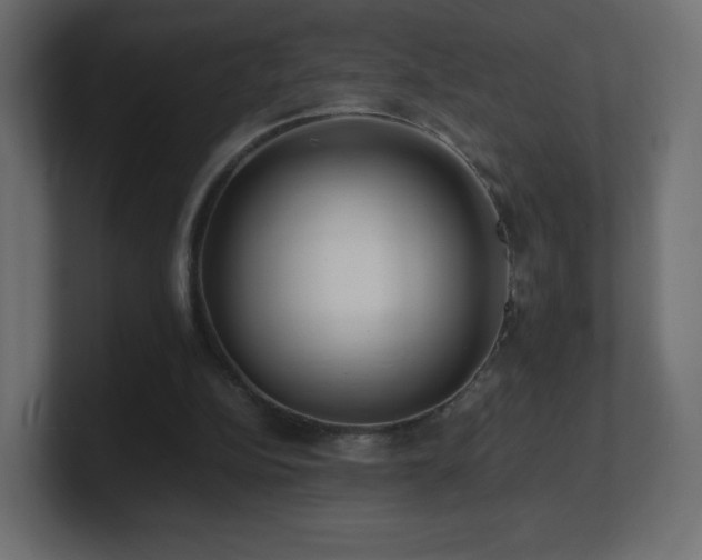X0000101100152200806261520