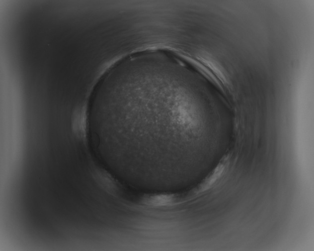 X0000101100156200806261520