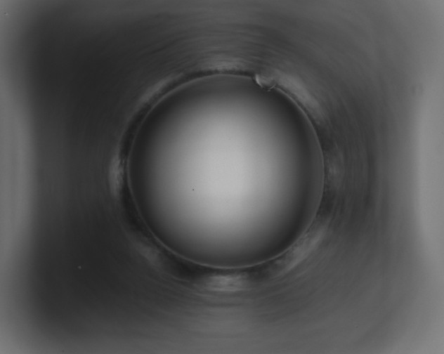 X0000101100160200806261520