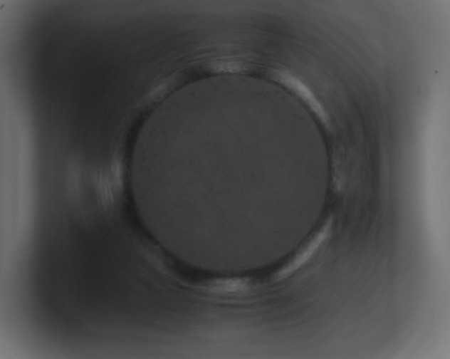 X0000101100161200806261520