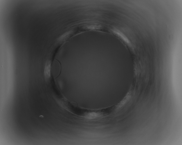 X0000101100163200806261520